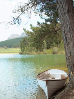 Boat on lake